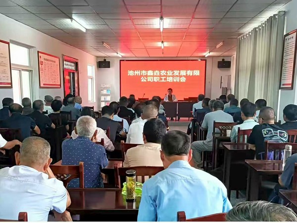 黄精种植.jpg